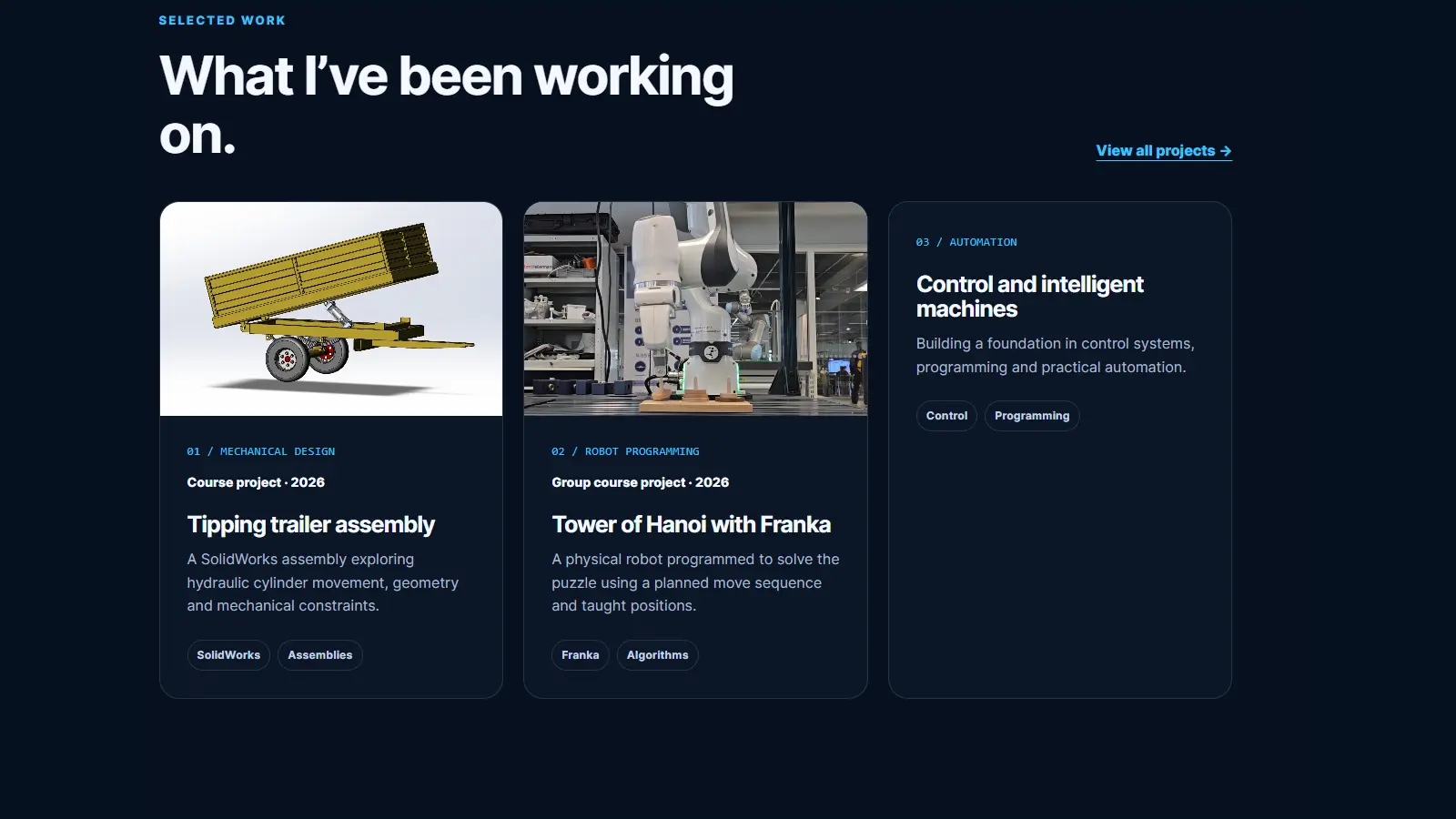 Earlier version of the portfolio homepage before the AI-assisted development project was added